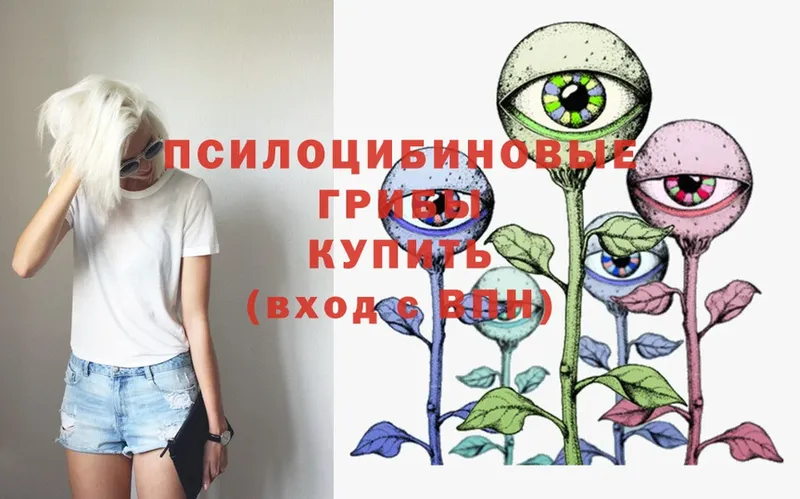 кракен как зайти  как найти   Алупка  Псилоцибиновые грибы Psilocybine cubensis 